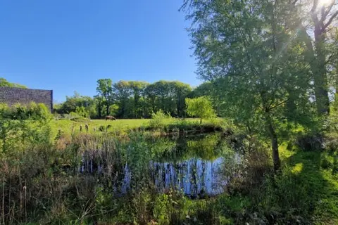 Het Heerengoedt in Ambt Delden, foto 26