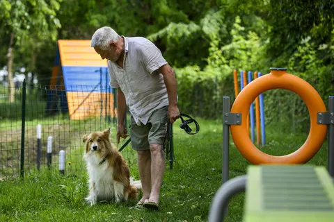 Camping Baia Verde foto 20