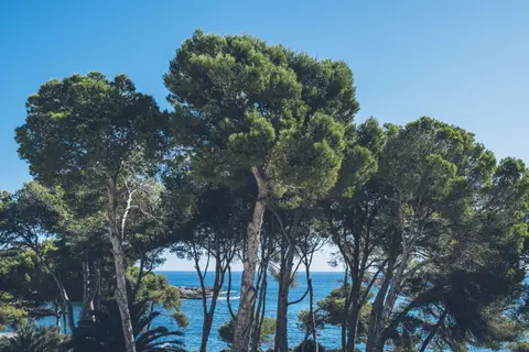 Iberostar Waves Pinos Park in Capdepera, foto 18