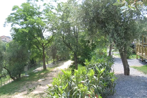 Camping Dei Fiori foto 13