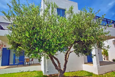 Palatia Village in Δημοτική Ενότητα Χερσονήσου — foto 15