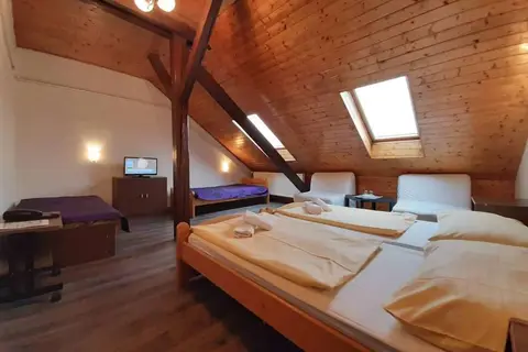Hotel Olga in Praag, foto 6