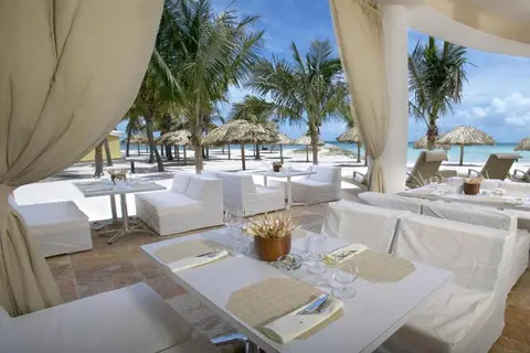 Divi Aruba Phoenix Beach Resort in West Punt — foto 29