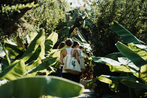 Phāea Cretan Malia foto 16