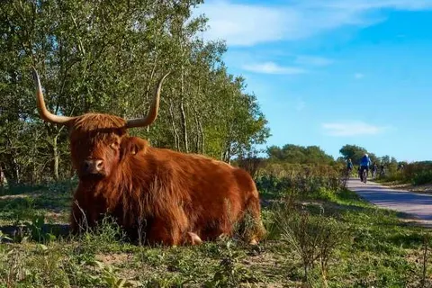 Hotel Heemskerk foto 26