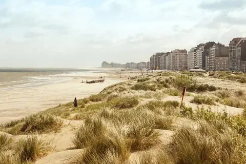 Hotel Le Provencal foto 16