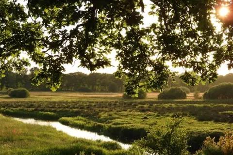 Herberg De Eexter Os foto 18