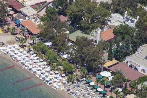 Okaliptus in Bodrum — foto 20