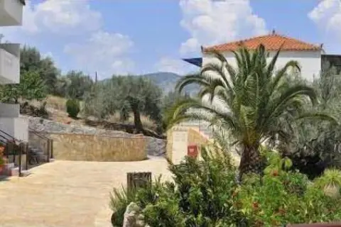 Aristotelis in Aristotelis, foto 22
