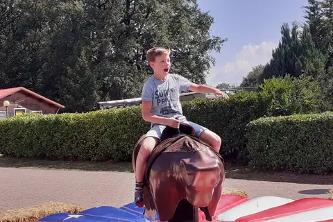 Camping De Vechtvallei in Diffelen — foto 3