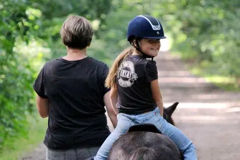 Horsetellerie Rheezerveen foto 6