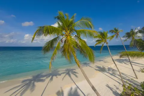 Milaidhoo Island in Milaidhoo — foto 6