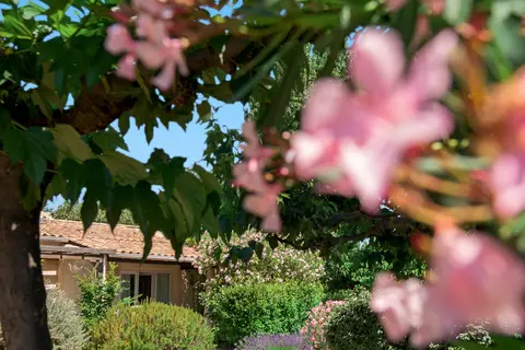 SOWELL HÔTELS Les Jardins du Cap in Agde, foto 8