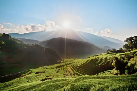 The Complete Vietnam Experience foto 4