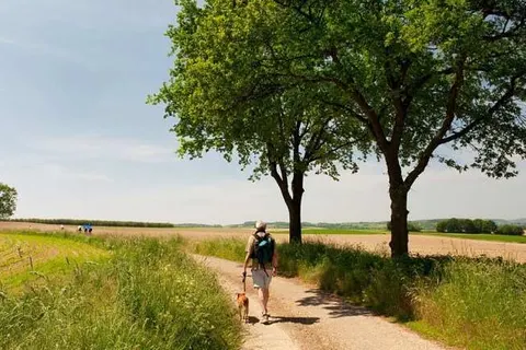 Hotel Hof van &ampapos;s Gravenmoer foto 16