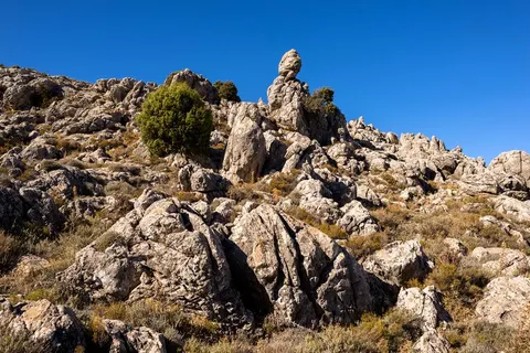 11 daagse fly drive Genieten op Sardinië foto 4