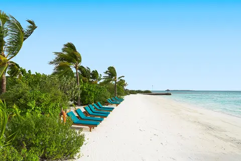 Canareef Resort Maldives in ހިތަދޫ — foto 20