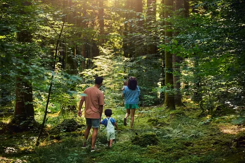 Center Parcs Les Trois Forêts foto 24