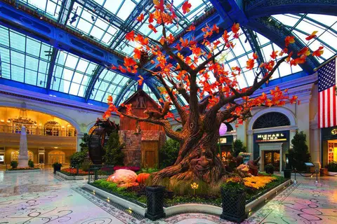 Bellagio in Las Vegas — foto 7