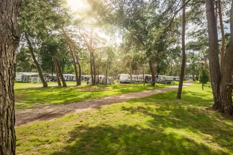 Bos Park Bilthoven in Bilthoven — foto 3