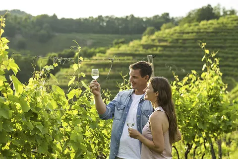 Camping Terme Ptuj foto 7