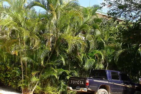 Villa Serena in Santa Bárbara de Samaná — foto 2