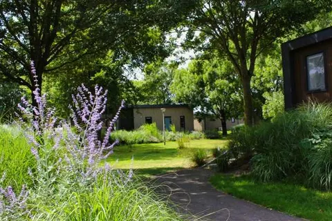 Maaspark de Lithse Ham foto 7