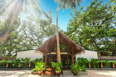 Malahini Kuda Bandos in Kuda Bandos — foto 23