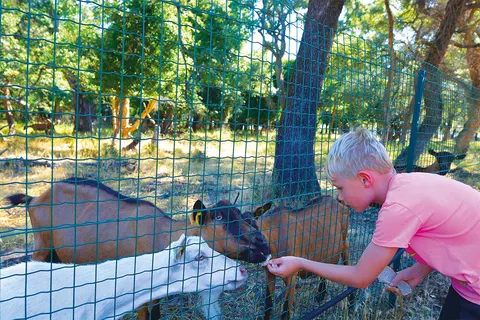 Camping Via Romana foto 5