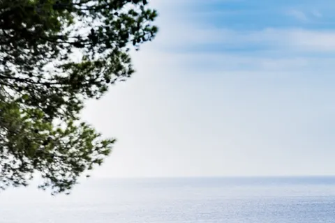 Camping Cala Llevado foto 16