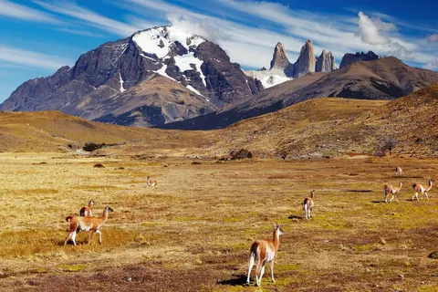 Experience the Impressive Nature of Patagonia foto 4