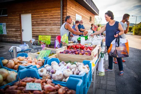 Camping La Roche D Ully foto 13