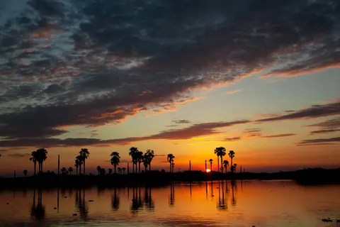 Geheime Schatten van Tanzania foto 11