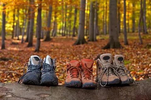 Hotel Mein Bergblick foto 26