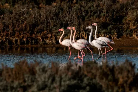 Ontdek de Algarve vanuit Monchique in Monchique — foto 4
