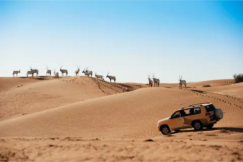 Al Maha, a Luxury Collection Desert Resort & Spa in محمية دبي الصحراوية