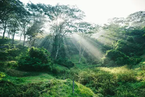 Amaya Hills Kandy in Heeressagala, foto 30