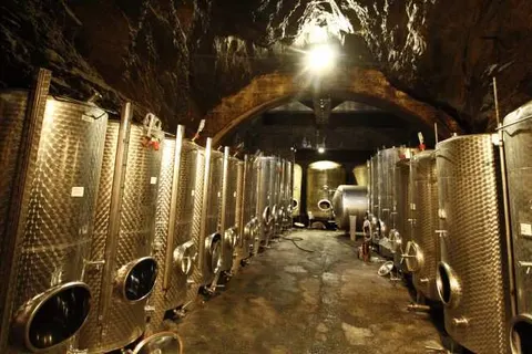 Hotel und Weingut Karlsmühle foto 10