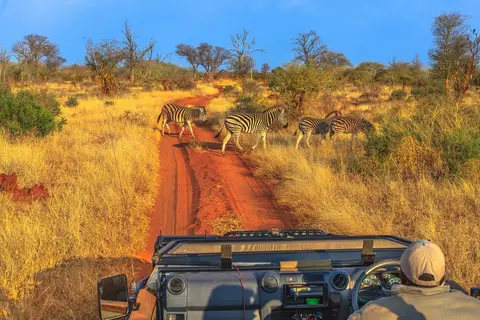 Zuid-Afrika op het Gemak in Noorderlijk Zuid-Afrika, Krugerpark, Panoramaroute — foto 5