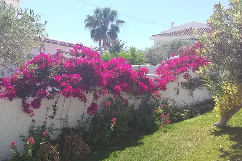 El Capistrano Sur in Nerja — foto 16