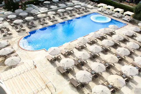 Sentido Fido Tucan in Santanyí — foto 2
