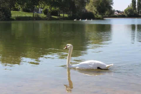 Camping Vesoul foto 15