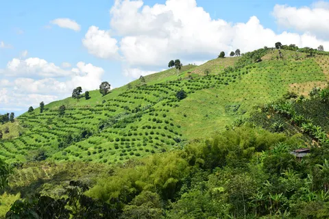 Rondreis Compleet Colombia in Rondreizen — foto 4