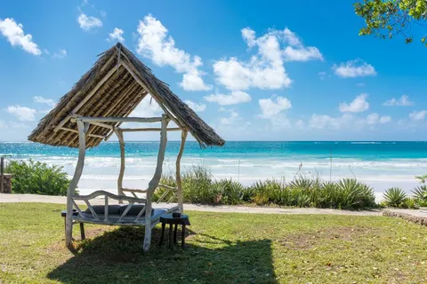 A Wildlife Adventure in Kenya foto 5