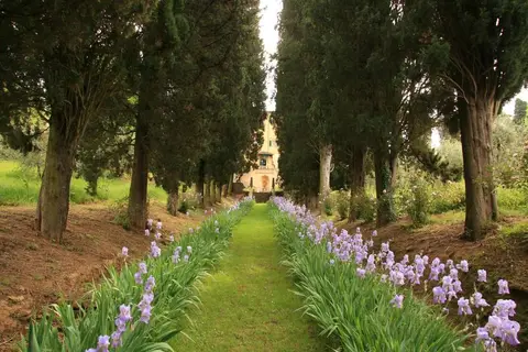 Art Hotel Villa Agape in Florence, foto 12