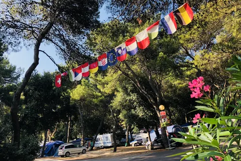 Camping Kozarica foto 7