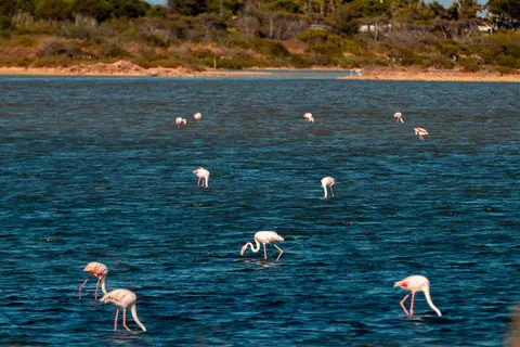 Camping Collection Rivages Salines in Hyères — foto 8