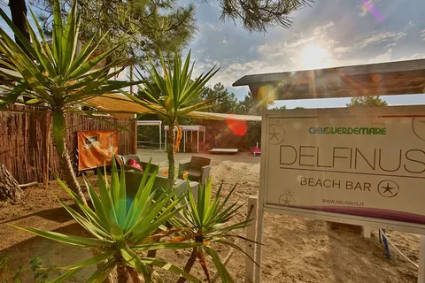 Camping Cieloverde foto 7