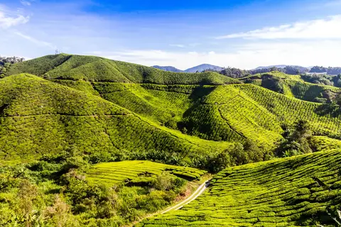 Avontuurlijk Maleisië in Miri — foto 10