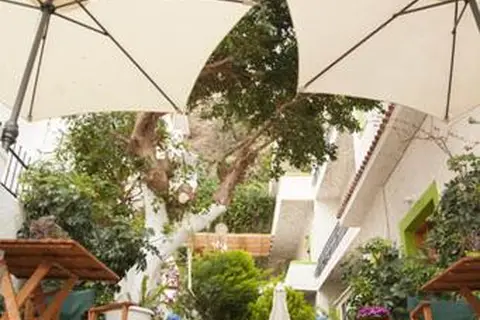 Gioma in Αγία Γαλήνη — foto 22